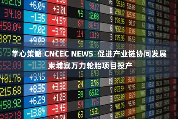 掌心策略 CNCEC NEWS  促进产业链协同发展 柬埔寨万力轮胎项目投产